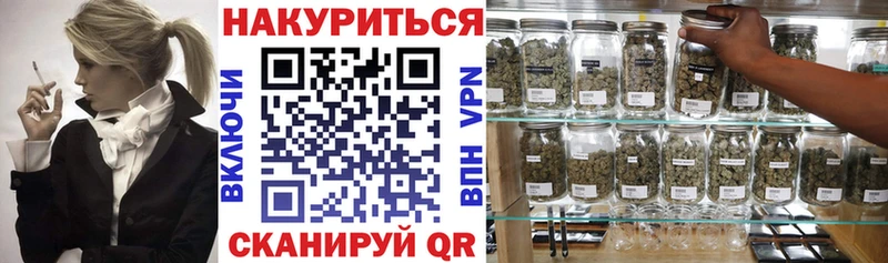 закладки  Междуреченск  Марихуана Amnesia 